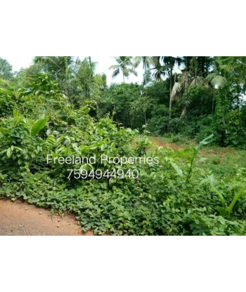 8 Cent Residential Land for...