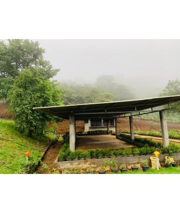 4.65 Acre Resort for sale...