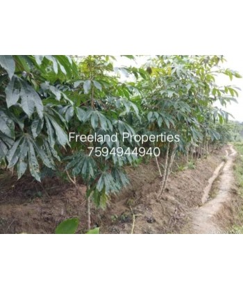 1 Acre Farm Land for sale...