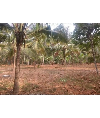 50 Cent Residential Land...