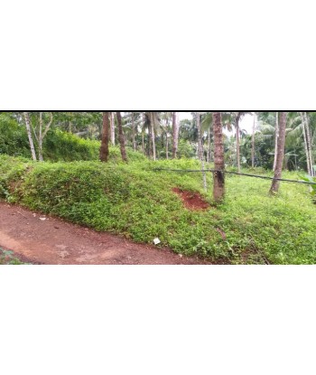 14 Cent Residential Land...