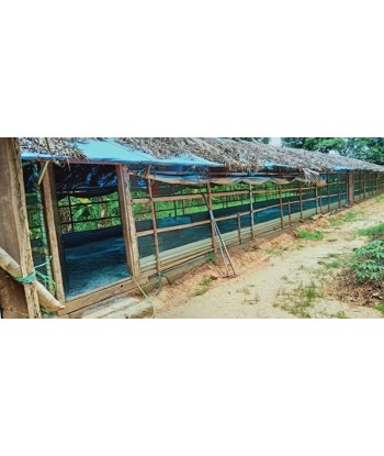 9.80 Acre Farm and Resort...