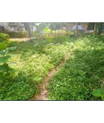 3.5 Cent Residential Land...