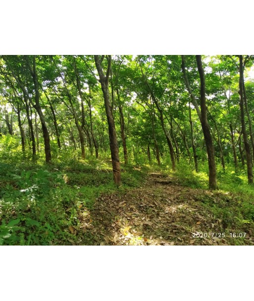 10 Acre Agricultural Land with 3 BHK New House Nemmara Palakkad