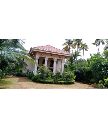 31 Cent Land with 10000...