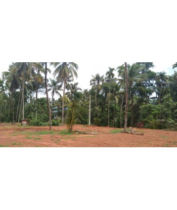 8 Cent Residential Land for...