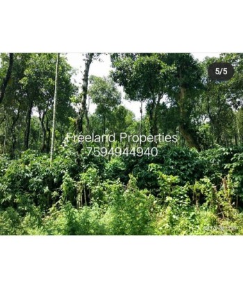 30 Acre Agricultural Land...