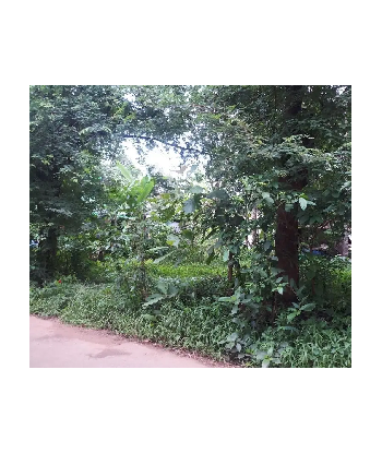 9 Cent Residential Land for...