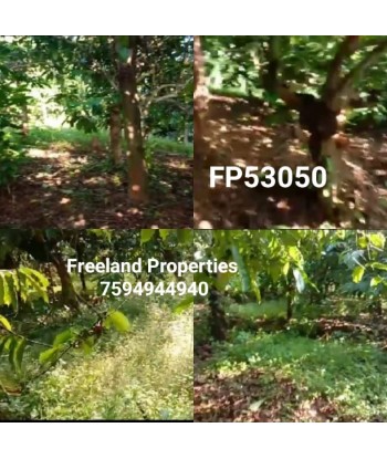 7 Acre Coffee Plantation in...