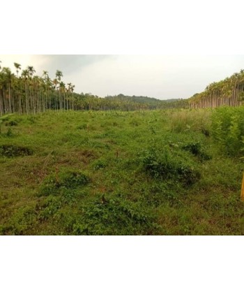 2.85 Acre Agricultural Land...