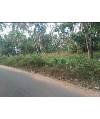 16 Cent Residential Land...