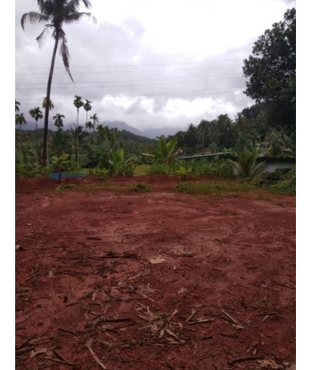 10 Cent Residential Land...