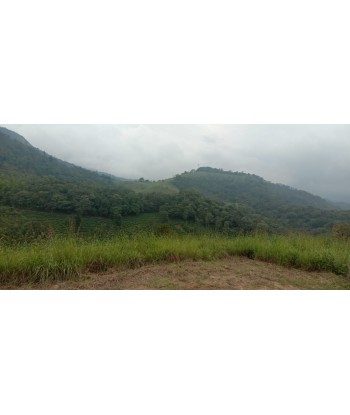 10 Acre Resort Land for...