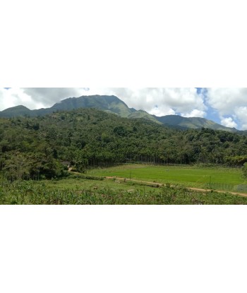 2.20 Acre Resort Land for...
