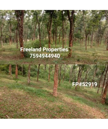 2 Acre Rubber Land for sale...
