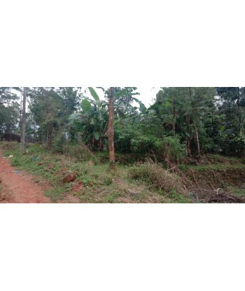 2.28 Acre Farm Land with...