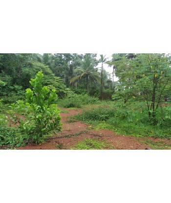 70 Cent Residential Land...