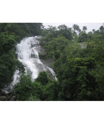 1.25 Acre Resort Land for...