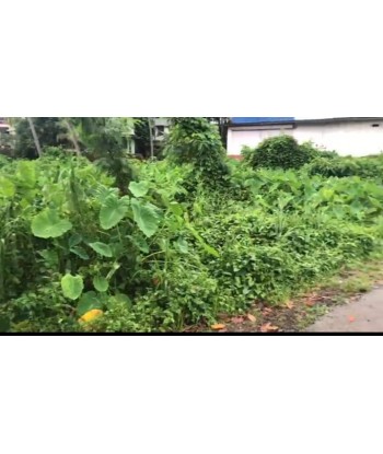1 Acre Commercial Land for...