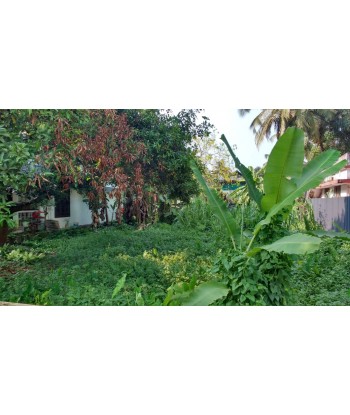 10 Cent Land for sale in...