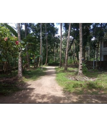 8 Cent Residential Land for...