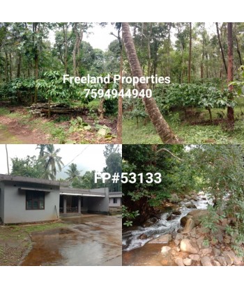 109 Acre Coffee Plantation...