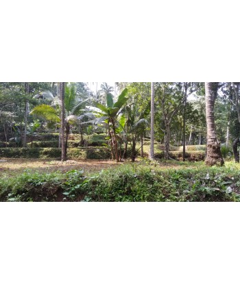 70 Cent Residential Land...