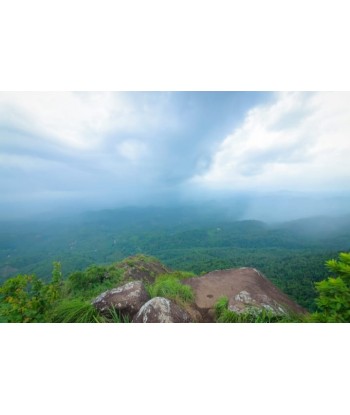 1 Acre Resort and Homestay...