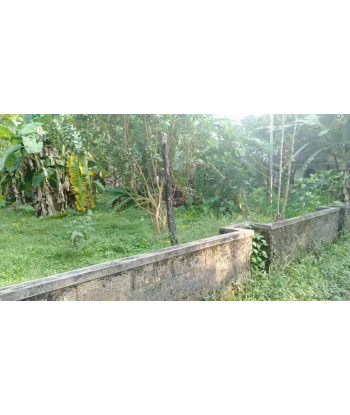 12 Cent Residential Land...