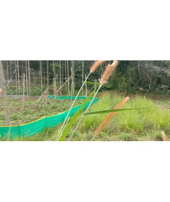 1.80 Acre House with Farm...