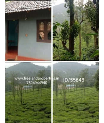 10 CENT HOUSE IN TEA GARDEN...