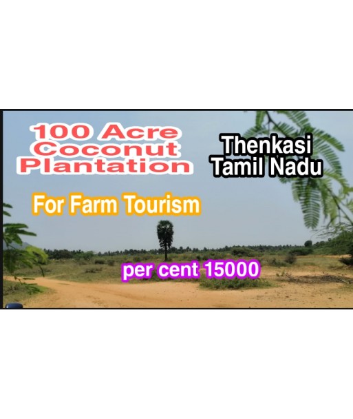 100 Acre Coconut Plantation For Farm Resort For Sale at Thenkasi Tamil Nadu