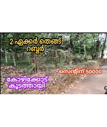 2 Acre Coconut | Rubber...