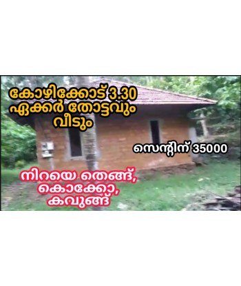 3.30 Acre Coconut | Cocao |...