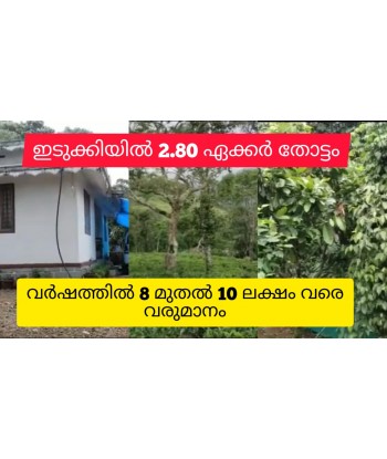 2.80 Acre Cardamom Tea...