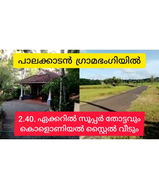 2.5 Acre Super Agri Garden With Colonial Style House For Sale Palakkad