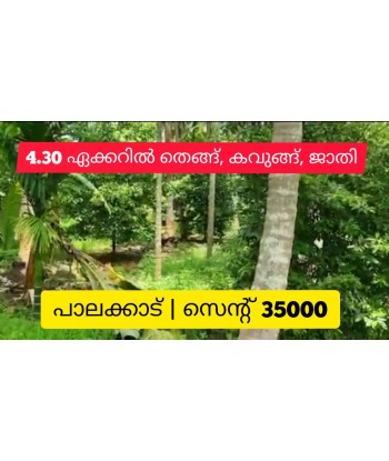 4.30 Acre Coconut Arecanut...