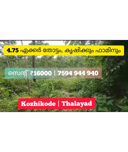 4.75 Acre Agri Farm Land For Sale Kerala Kozhikode Thalayad
