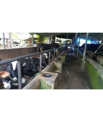 2.35 Acre Dairy Farm For...