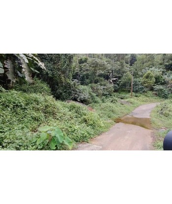 1.5 Acre Farm Resort Land...