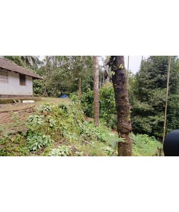 3 Acre Agri Farm Resort...