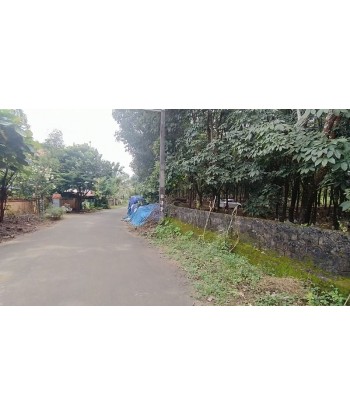 20 Acre Rubber | Chicken...