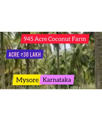 945 Acre Coconut Farm For...