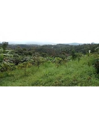 4 Acre Farm Resort Land For...