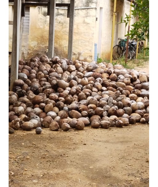 105 Acre Agri Fruits Farm For Sale Dindigul Tamilnadu