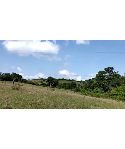 16 ACRE RESORT HOMESTAY LAND FOR SALE KARNATAKA