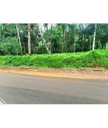 22 Cent Commercial Land for...