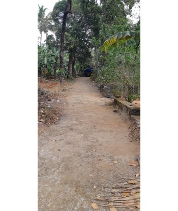 23 Cent Residential Land...