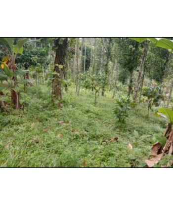 5 Acre Farm Land for sale...