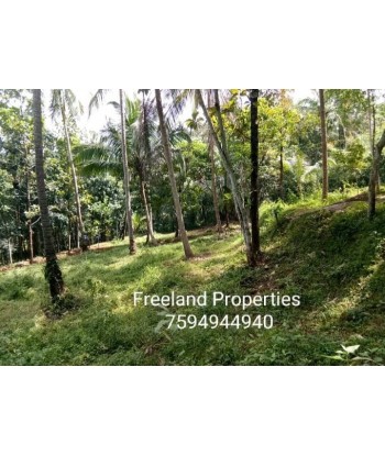 40 Cent Residential Land...